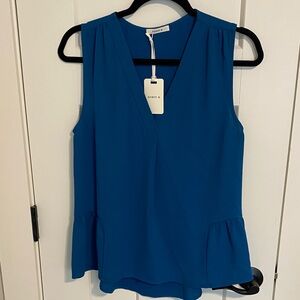 Robin K Women's V-Neck Blue Blouse